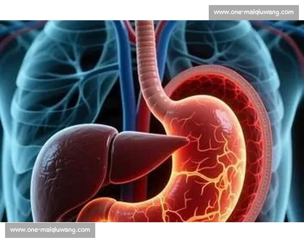 梦魇突袭！科学解析与实用应对指南